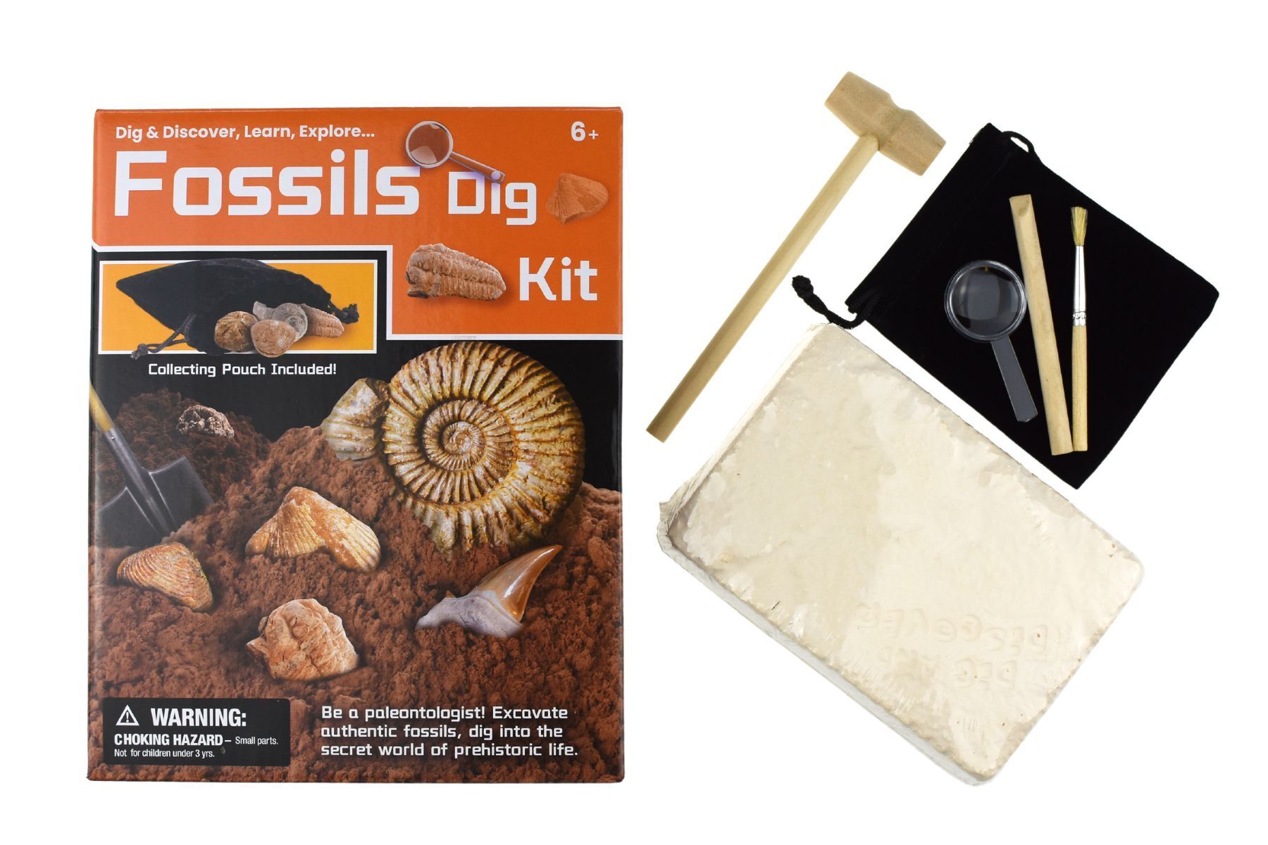 Children's fossil kits sales