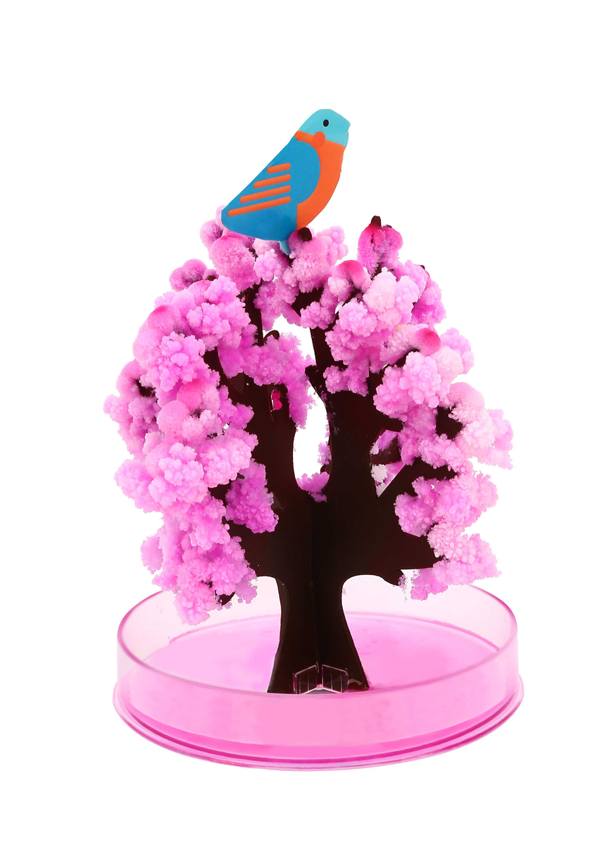 MAGIC GROWING TREE - SAKURA TREE - Tookyland