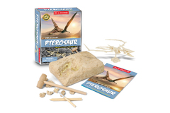 DIG & DISCOVER PTEROSAUR DIG KITS