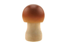 WOODEN MUSHROOM