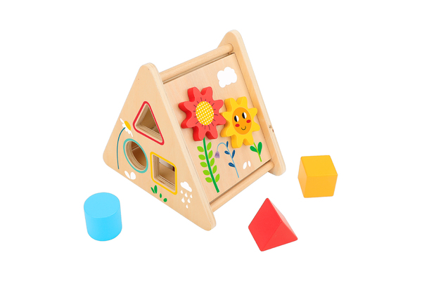ACTIVITY TRIANGLE