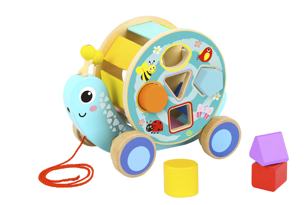 PULL ALONG SNAIL WITH ROLLING WHEEL & BLOCKS 